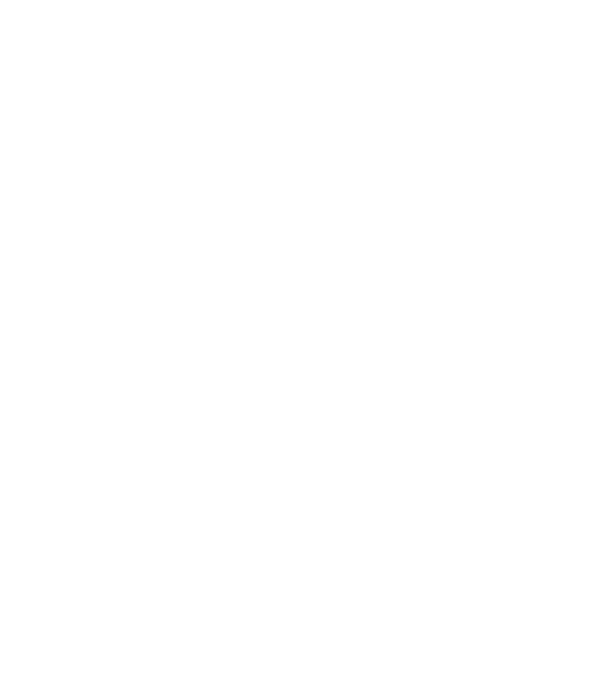 Programa Viaje de retorno - Intensivo